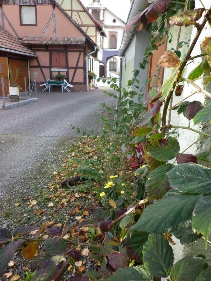 Gites Petermann Marckolsheim Esterno foto