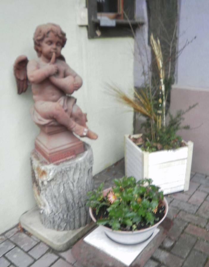 Gites Petermann Marckolsheim Esterno foto